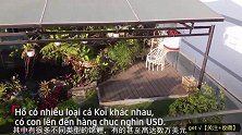 投资数十亿建造的天台锦鲤池是什么样子？赶紧来瞧瞧！