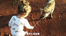 猛男不惧鬣狗掏肛，深入荒野零距离拍摄野兽！