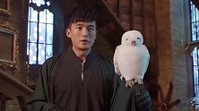 吕子乔你还能当老师，真是笑掉大牙啊！