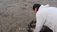 渔妹赶海挖回的海鲜，做出来堪比大酒店，配上一瓶糯米酒吃爽了