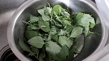 苋菜有人直接焯水有人直接炒，其实都不对，教你正确做法