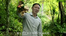 鹿碗儿：教您做麻辣猪蹄，能多吃一碗饭的下饭菜