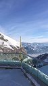 乌鸦呀，你是怎么飞到2300米的雪山顶的？神鸟啊！