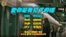 爱你是我犯下的错 演唱：刘玲玲 词曲：刘玲玲 MV：李国庆