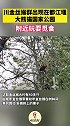 川金丝猴群出现在大熊猫国家公园管护站附近