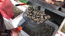 22块钱买了一大盘花蛤，5块钱一斤，阿远做的香辣花蛤味儿真棒