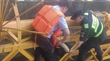 浙江杭州：上次救人“吃足苦头”，时隔一个月他又出手了