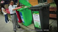 日本老龄化小镇逆袭奇迹！65岁以上老人们靠“捡树叶”年收入60万