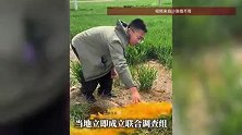 “地里的麦子不敢吃！”河北蠡县“红水”事件曝光，村民哭诉：举报十年，不如一条视频管用