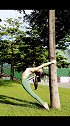 高攀会委屈，将就会不甘，唯有势均力敌的爱情最长久，你很好我也不差！