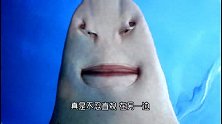 湖里出现一条奇特的鱼儿，长着一副人脸，镜头拍下全过程