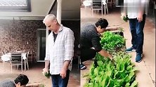 丈母娘在菜园摘菜，洋女婿在一旁打下手，最后一幕太搞笑了
