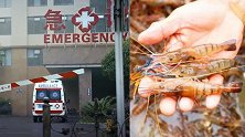 杭州男子被一只沼虾夺命 进ICU到去世仅3天：抗生素全无效