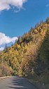 今天四姑娘山秋意渐浓