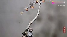 禅意十足的老鸦柿盆景，优雅大方，造型美轮美奂