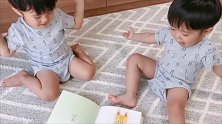 妈妈给双胞胎宝宝买了新书，结果宝宝们的反应太萌了！