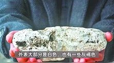 无意中捡到“一套房”！价值800万？网友在威海旅游捡到疑似龙涎香