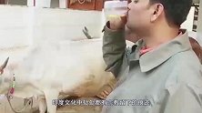 印度真是好奇葩，女人可以露背露肚脐，但这部位却不可外露
