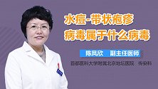 水痘-带状疱疹病毒属于什么病毒？