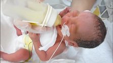 护士在保温箱里给早产儿喂奶拍嗝，手法温柔娴熟值得称赞