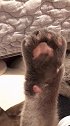 看看这黑不溜秋的手