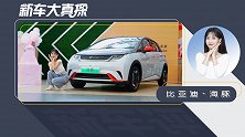 比亚迪海豚：10万电动小车能有多精致？