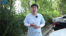 新手买二手车时，这5款车型不要碰，故障率高到想卖车，注意
