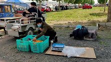 北京马驹桥大集，大哥提笼挂鸡，开百万分钱豪车，和我说养生之道