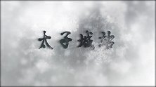 京张高铁今日开通！太子城站成世界上首座进入奥运村的高铁站