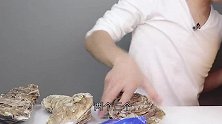 试吃288元10斤的超大网红生蚝，这才是真正的男人加油站