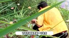 《中餐厅6》开播！黄晓明出师不利晕车吐了，尹正无情吐槽-弱鸡