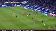 齐默尔曼 德甲 2019/2020 德甲 联赛第11轮 沙尔克04 VS 杜塞尔多夫 精彩集锦
