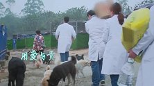 兽医和人医一样都是救死扶伤，圣手仁心，一样值得我们尊敬