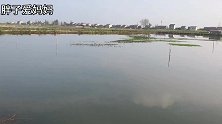 湖北荆州鱼米之乡，小龙虾养殖是怎样的，美味的油焖大虾，想吃吗