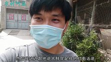 帮北京网友抓大白熊犬，进门被大白熊认出，扑上来就咬！瞬间腿软