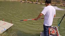 花1000多块进鱼塘钓鱼，钓上一条鱼立马回本，看着真爽