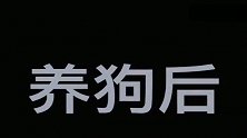 牛爸完美诠释养牛牛的心路历程，对这两个狗子才是真爱呀