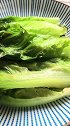 蚝油生菜生财，简单易做的青菜