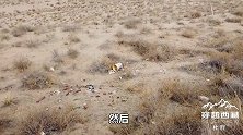 青藏线无人区满地的垃圾都是谁丢的 徒步的有电机还叫徒步吗
