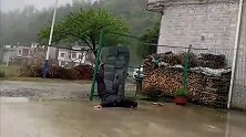 爆笑：这洋相出的，一旁的哥们都快笑抽筋了！
