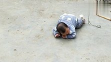 16个月宝宝的“梦想”成为现实，五米长的棍子打到身上无动于衷