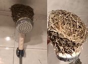 湖北市民4个月回家后懵了 当晚都没敢洗澡