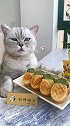 猫王：菠萝和凤梨有什么区别？这是菠萝酥还是凤梨酥    会做饭的猫  邀请陈赫来解锁神仙吃法