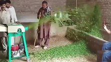 自制小型草料粉碎机，效果太牛了，农民的好帮手！
