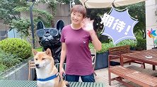 《乘风破浪的女排姐姐》杨昊：未曾考虑接班郎平 满足于目前状态