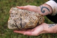 世界上“最贵”的粪便，被用来做顶级香料，大多数人身上都有它