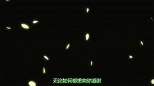 夏目友人帐：名字还给时雨，夏目读取他的记忆，了解它内心的悲痛