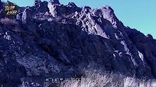 新疆奇特岩画之谜，万年前岩画发现“飞机图案”