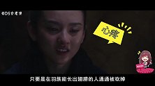 《九州缥缈录》羽然注定不平凡！论翅膀在羽族的重要性