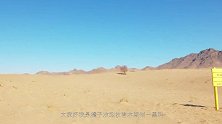 我们在蚂蚁森林种的树，真的属于自己吗，选择砍掉会怎么样